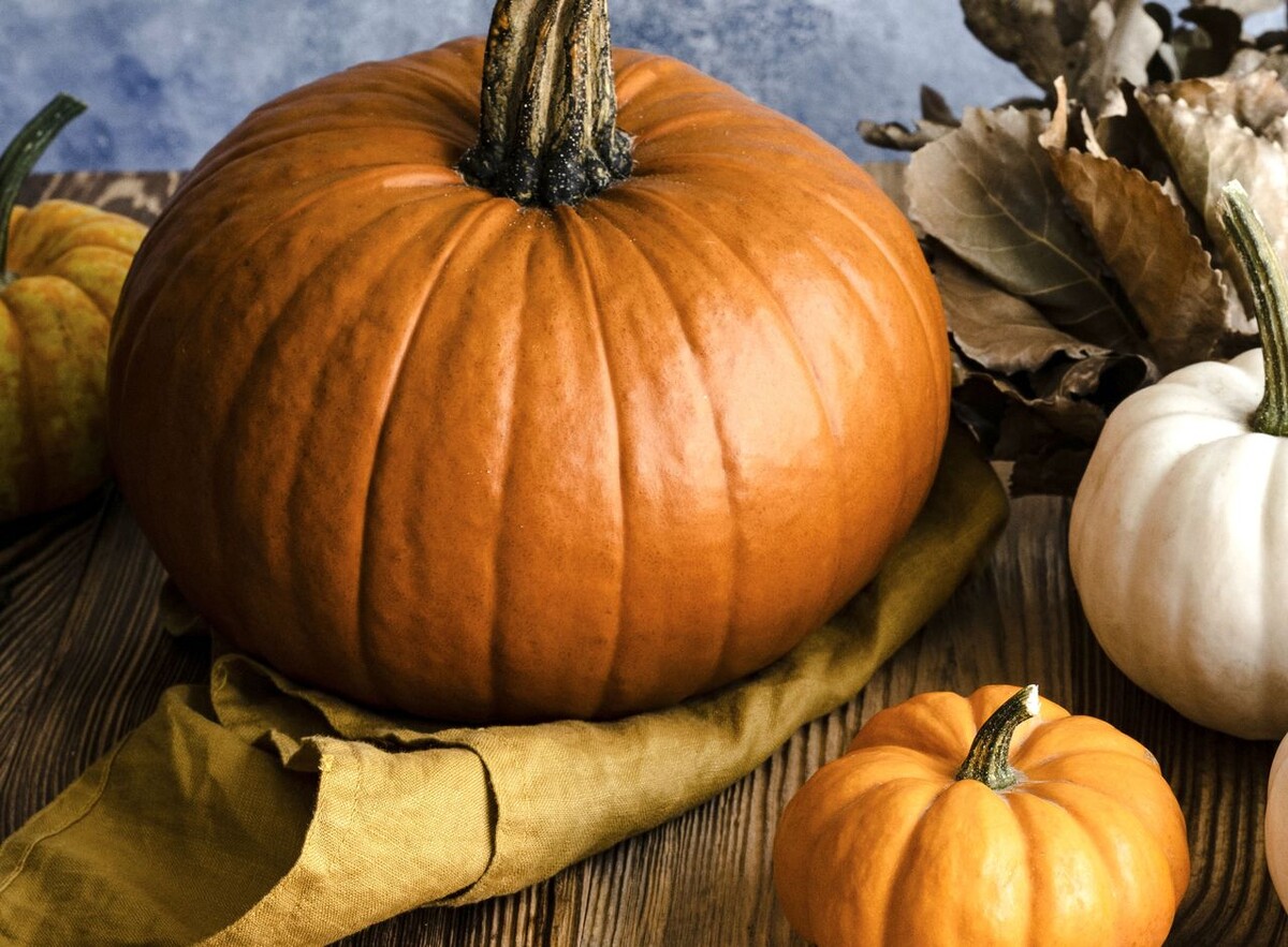 Тыква. Фото: freepik.