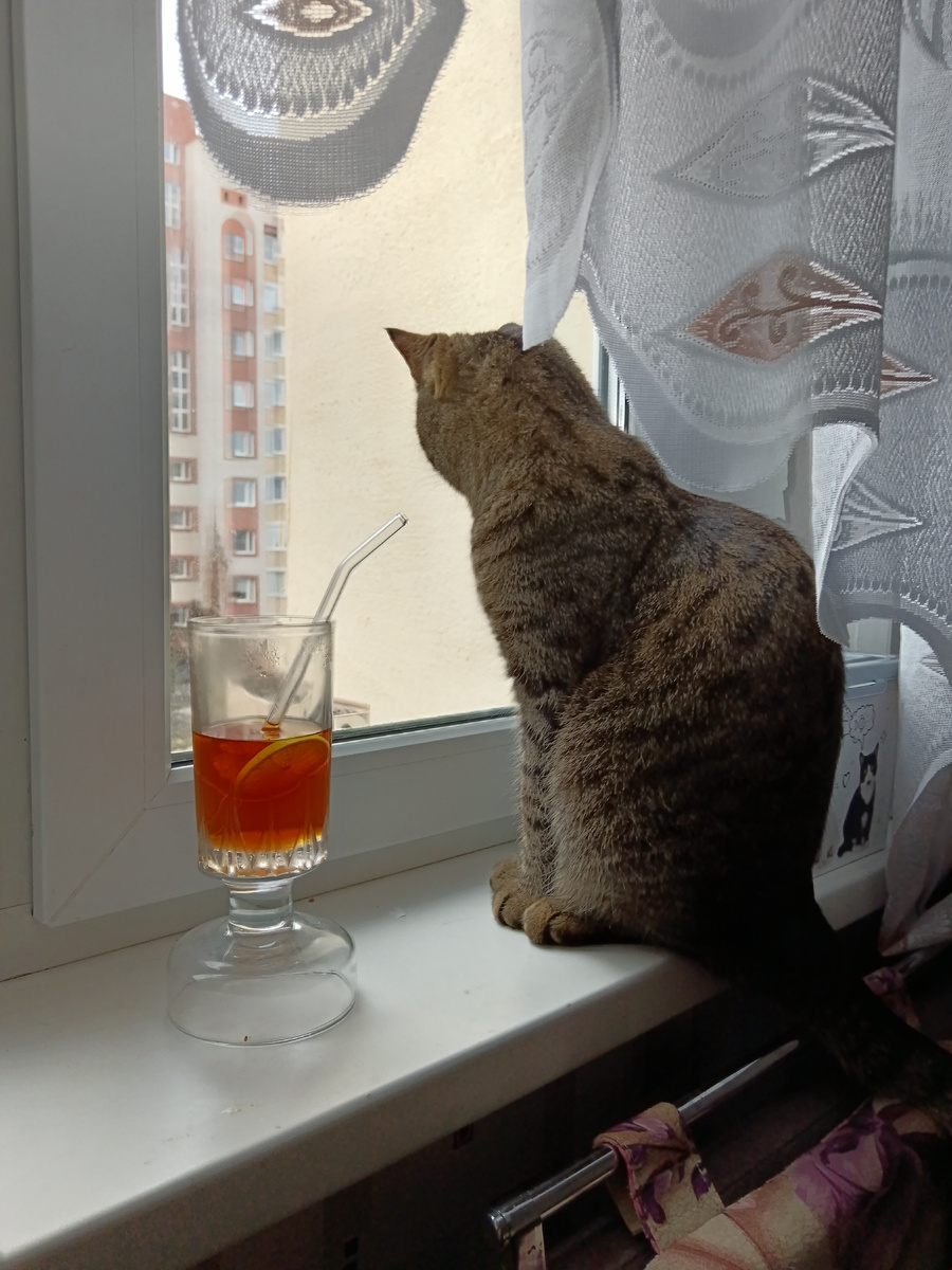 Чёрный чай с лимоном сейчас пью)