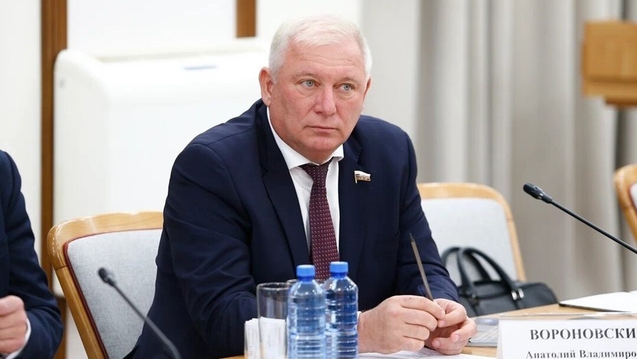 Автор фото: vk.com. Депутат ГД Анатолий Вороновский.