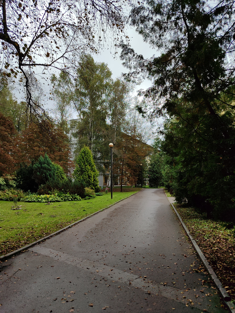 Дорога к корпусу. Фото автора