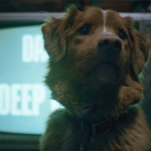  📷    This is Halloween. Дайджест редакции BURO. в преддверии Дня всех святых (фото 1)