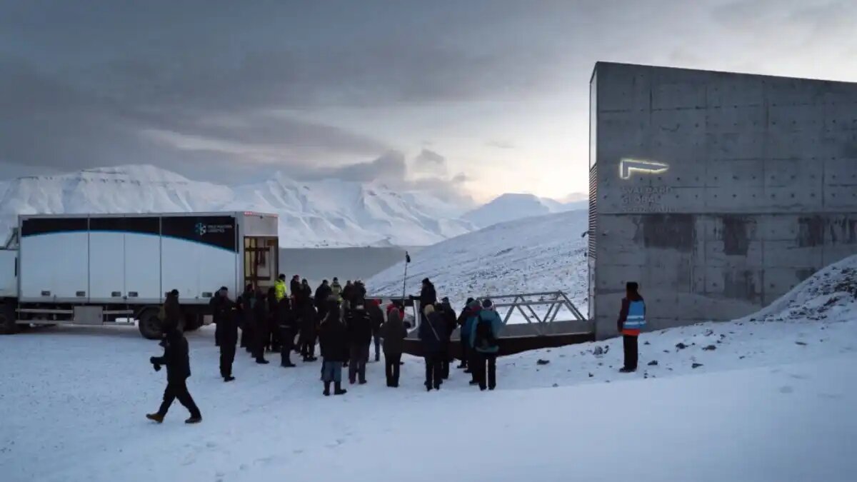 Фото:Джонатан Джейкобсон, NordGen/Svalbard Global Seed Vault
Коробки с семенами из 20 генных банков прибывают в семенное хранилище на Шпицбергене
