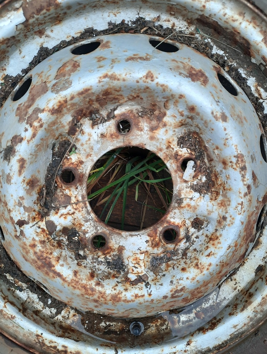 Может выбросить? Фото автора 