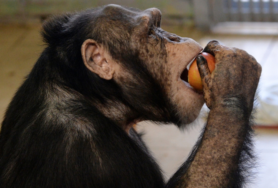    Илья Наймушин/NEWS.ru