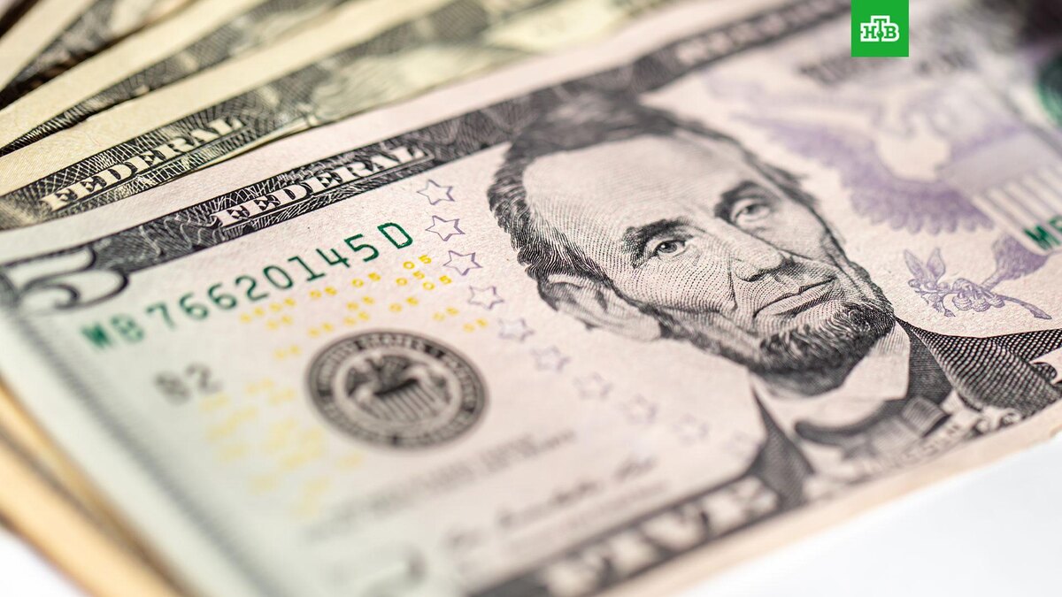    Фото: ru.freepik.com