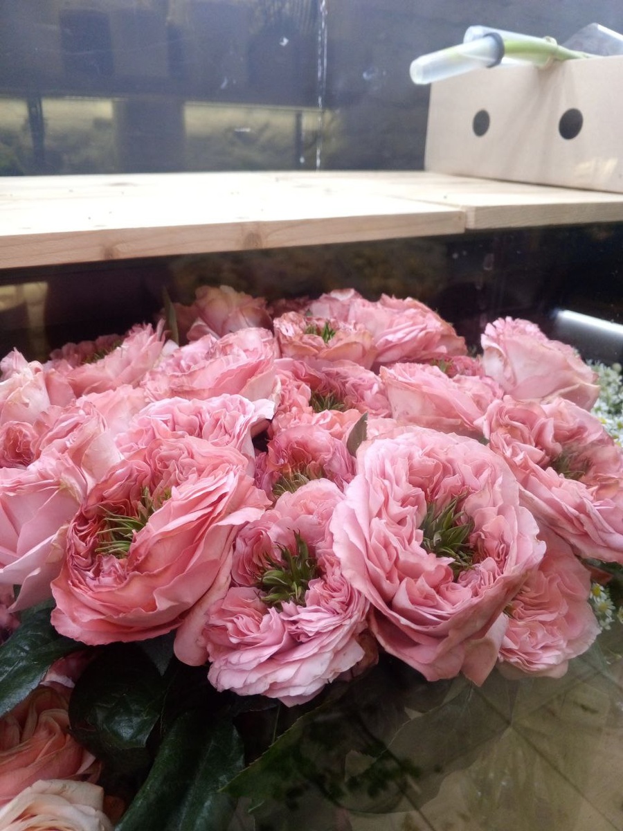 Красоты в ленту 