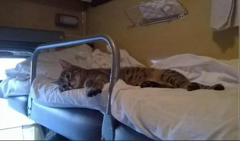 тут 😛 один пасажир 