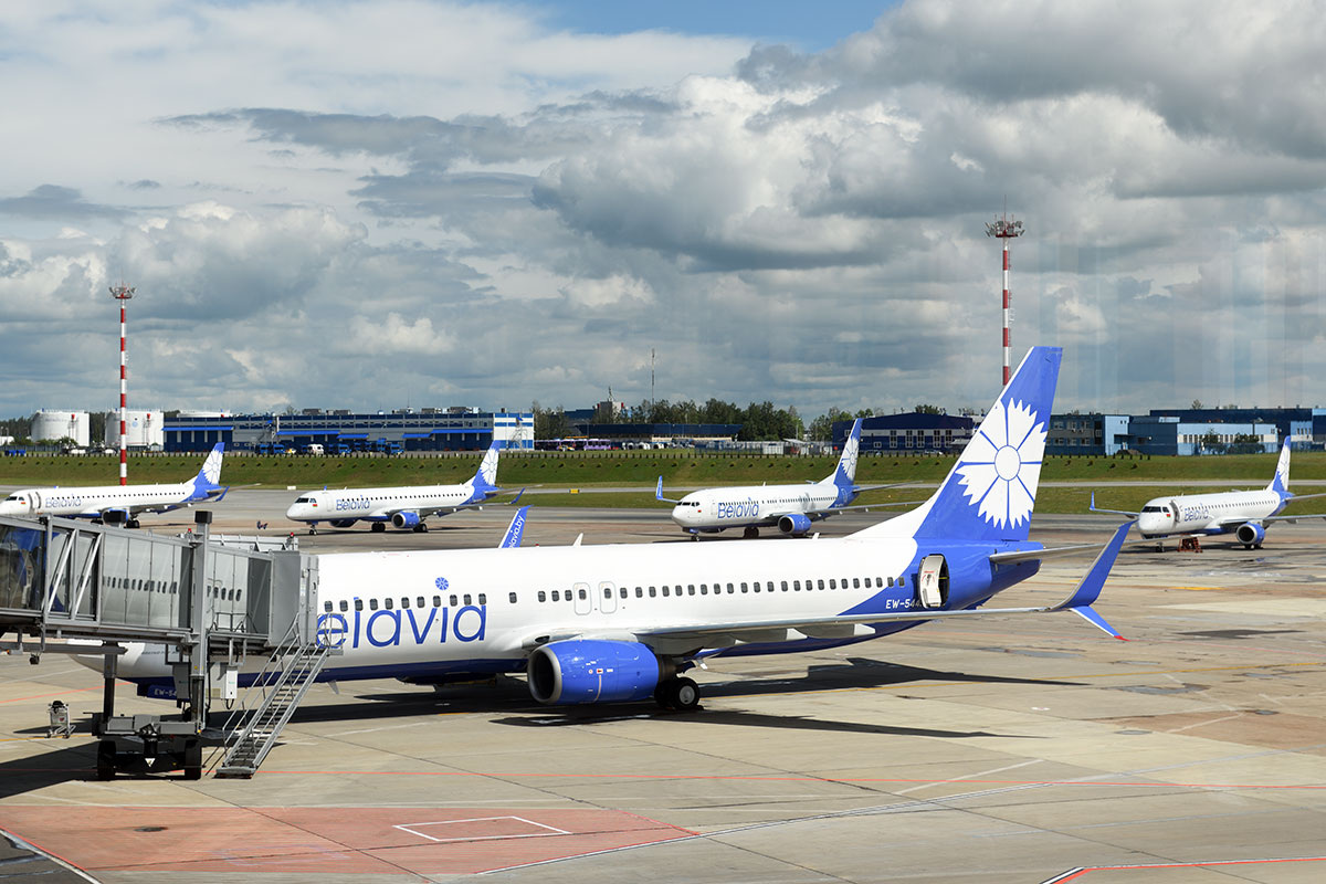    Фото: LIAL / Shutterstock.com