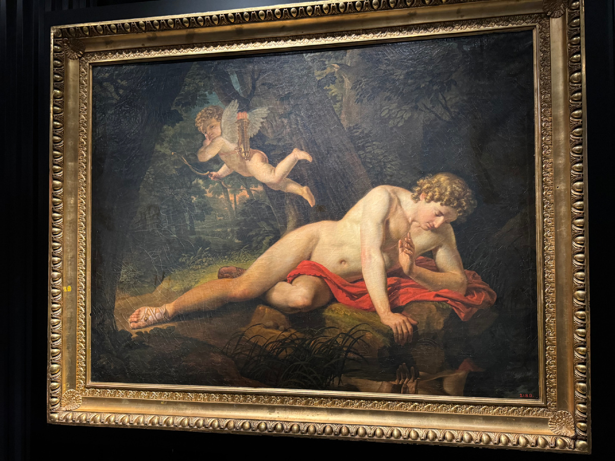 Нарцисс, смотрящий в воду. Фото автора статьи.