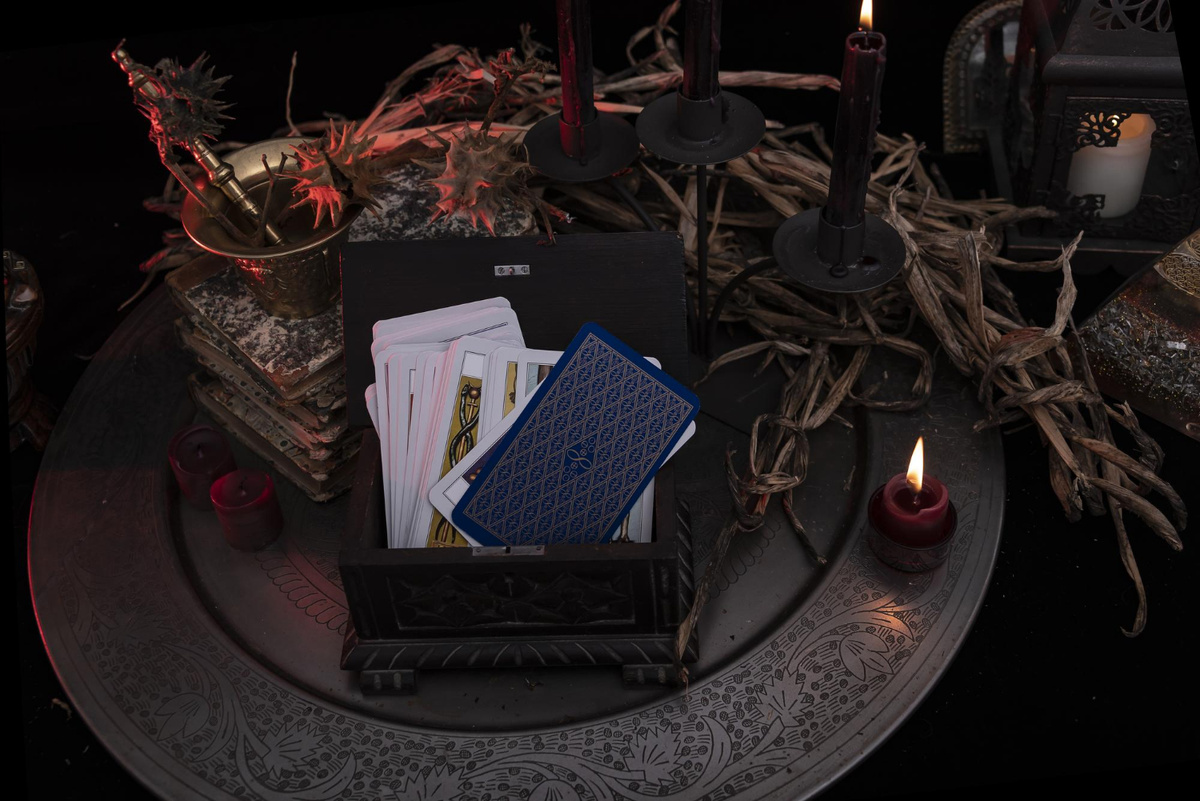 Фото: freepik.com  📷
