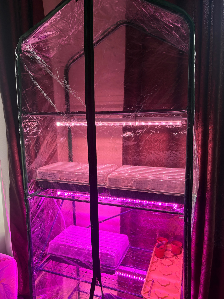 Металлический стеллаж для рассады🌷