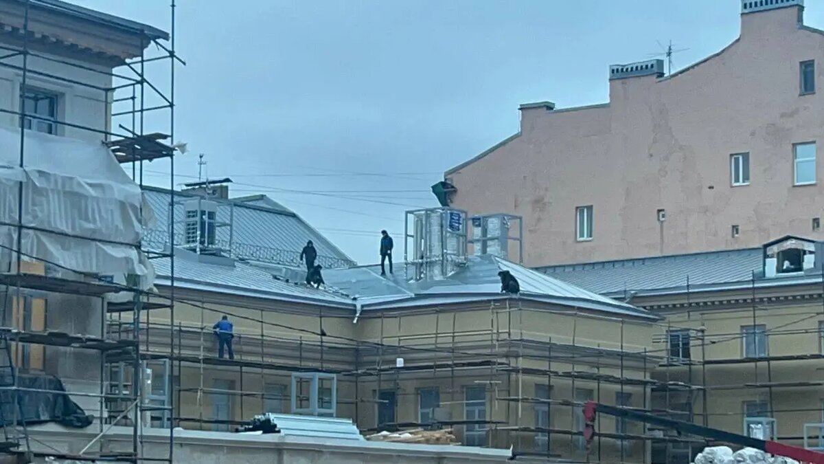    Фото: Мойка78