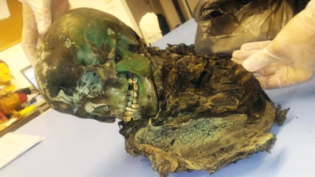    фото: соцсети