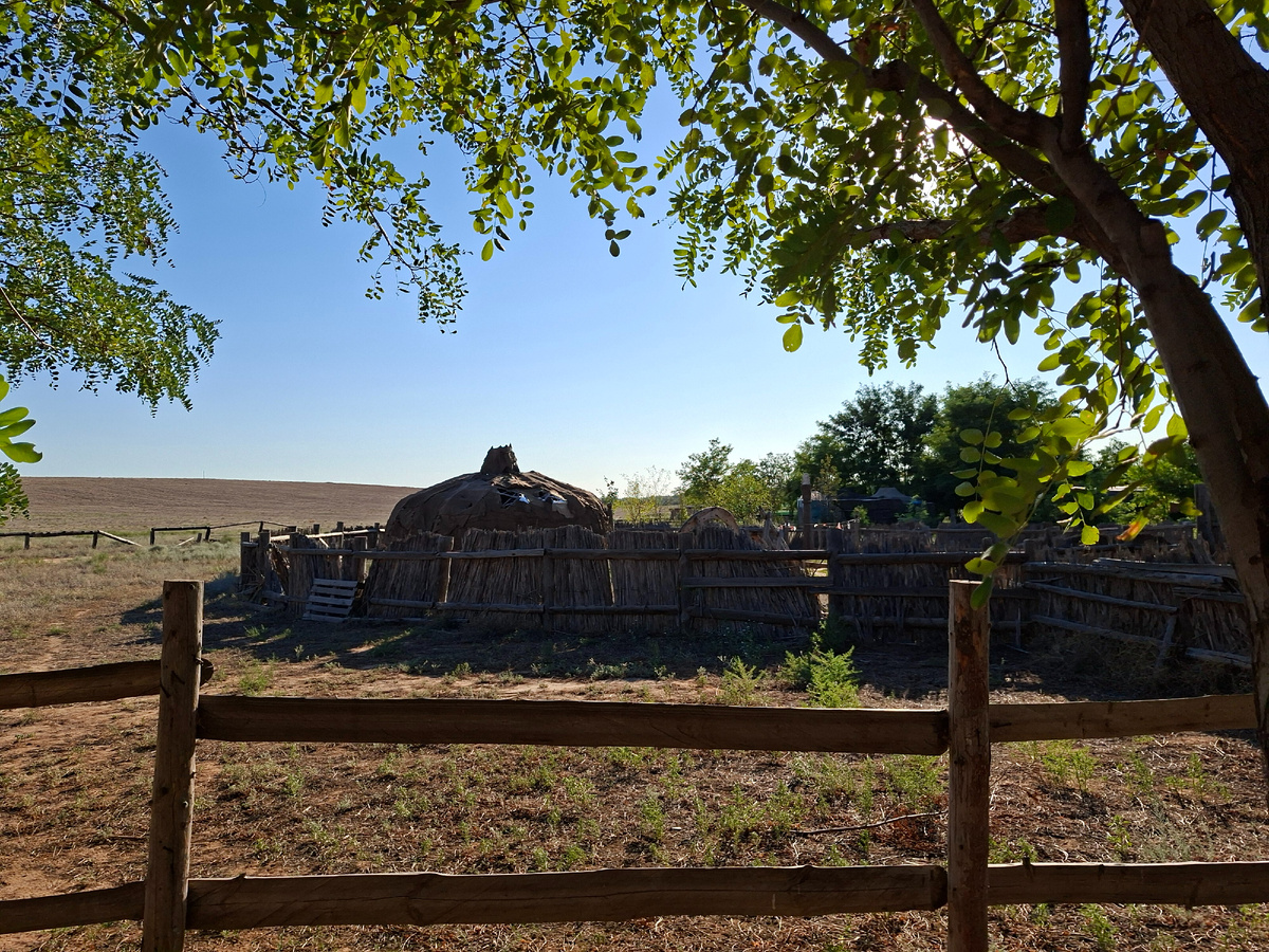 фото автора  юрта 