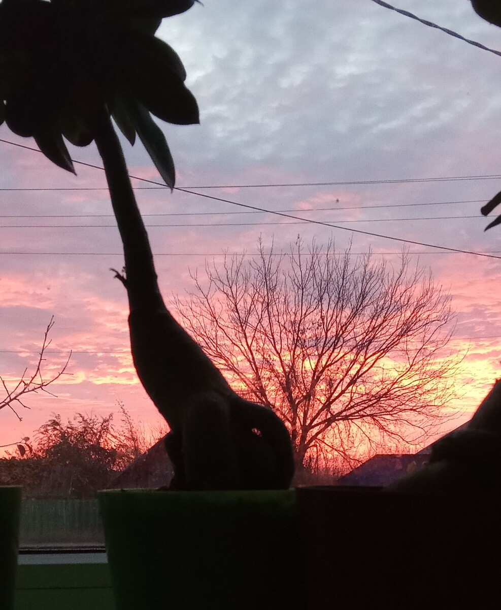 Мои любимые осенние рассветы.