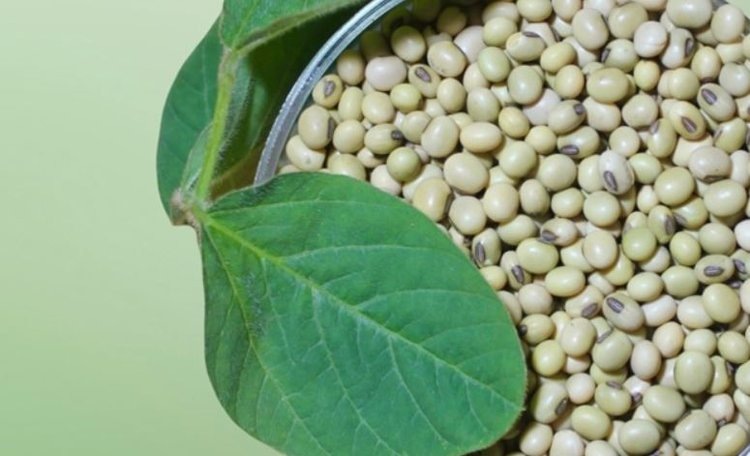    Фото: ФГБУ «РосАгрохимслужба»