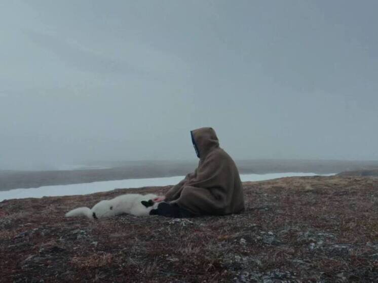     Telegram Fedor. Insights