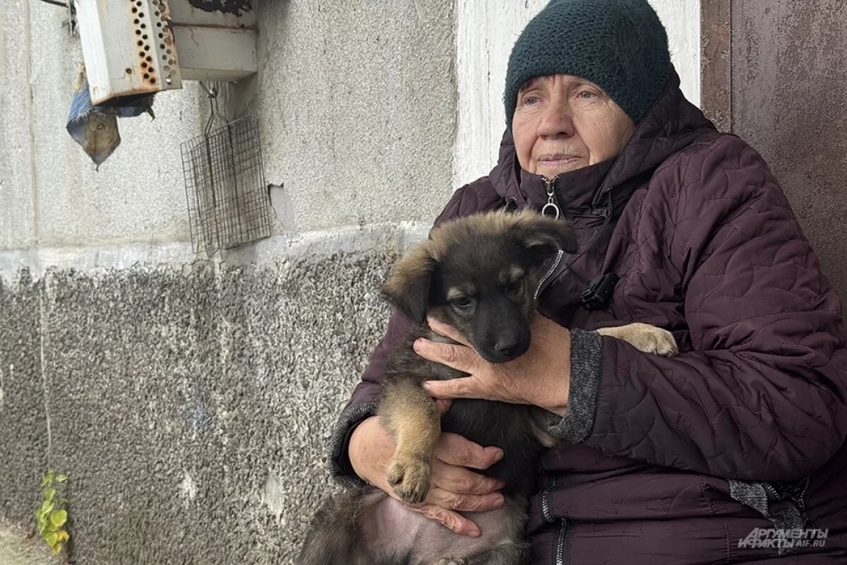    В донском регионе могут ввести постоянную 13-ю пенсию к Новому году