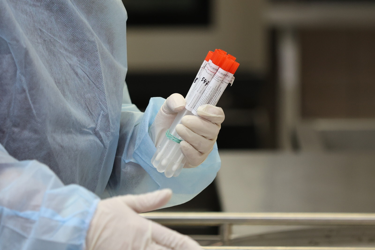 Фото: Дмитрий Фуфаев / «Петербургский дневник»
