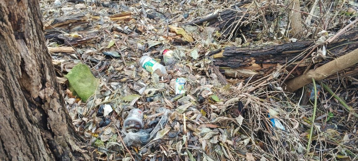 Фото: Тульская служба новостей