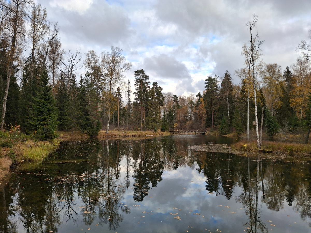 Барский пруд с островом посередине.