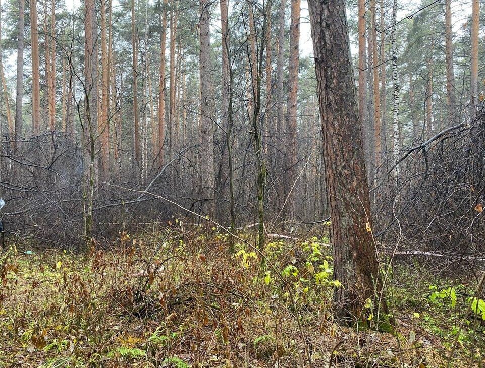     СУ СК России по Свердловской области