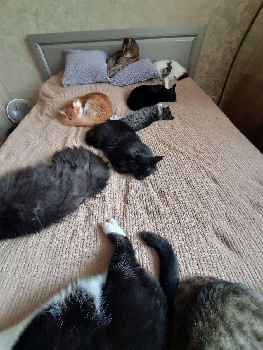 Моё место сна