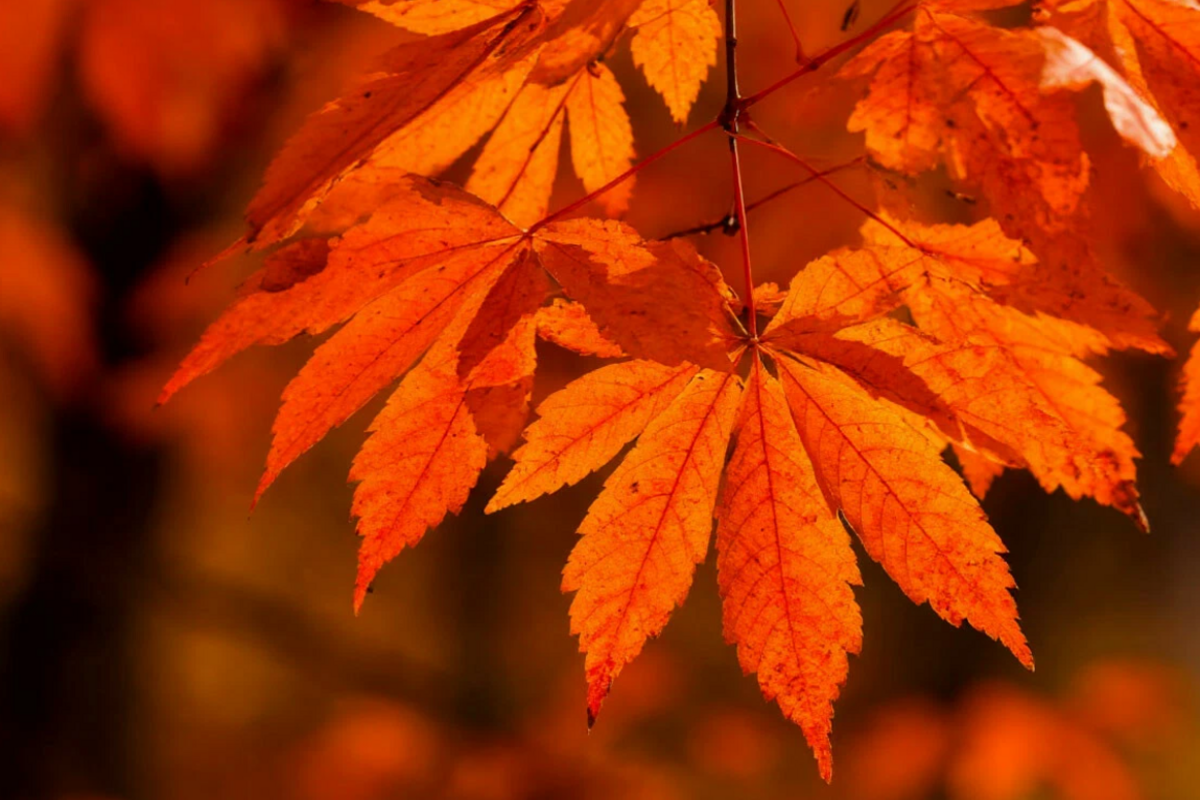    Фото: сгенерировано нейросетью