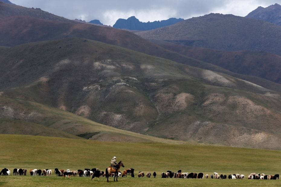    Игорь Егоров/РИА Новости