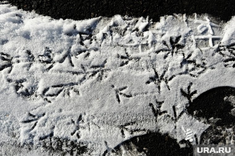     Приметы и поверья 1 ноября