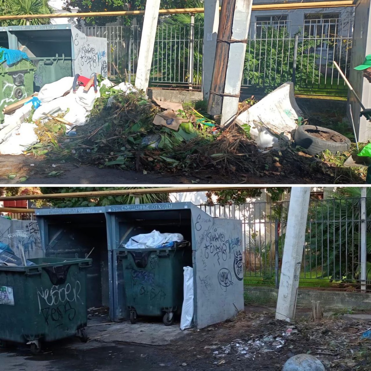    Фото: Telegram/ Сочи Официальный