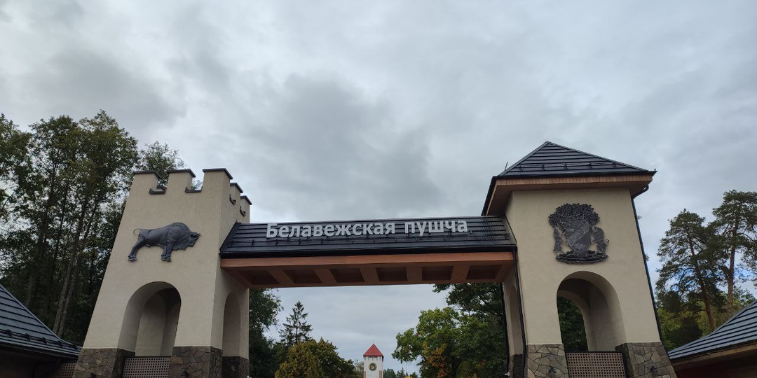 Беловежская пуща - моё путешествие и впечатления