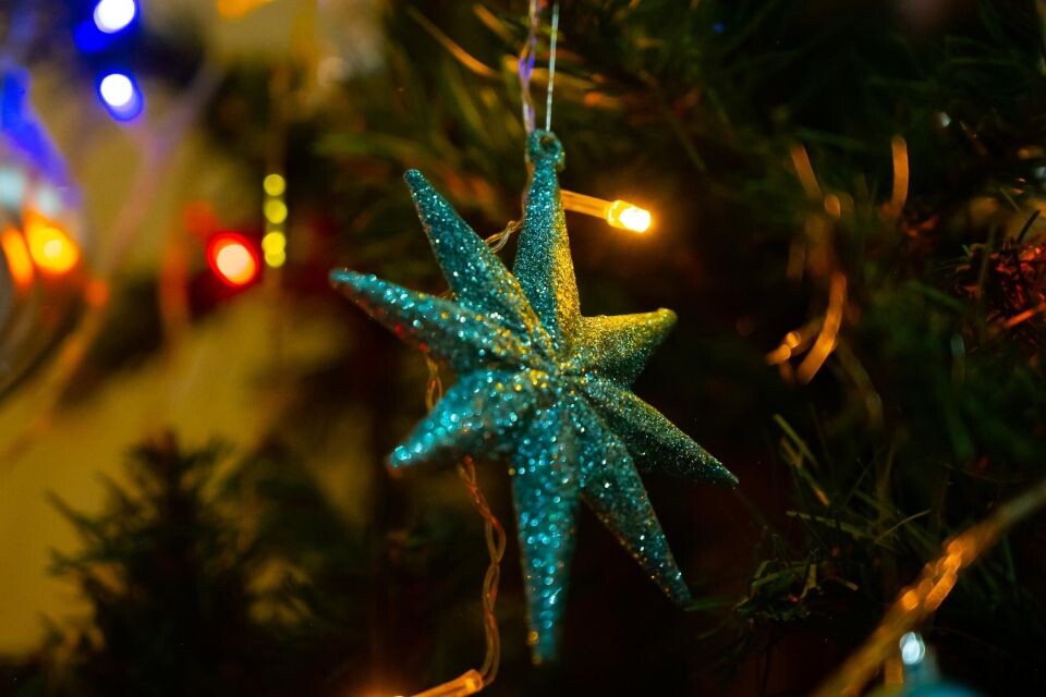    Новый год. Праздник. Елка.. Источник: media4media.ru