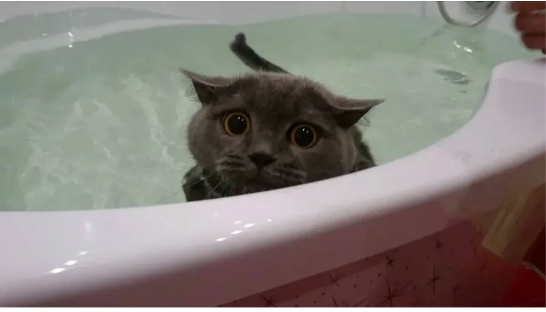 Наверное, были такие же глаза