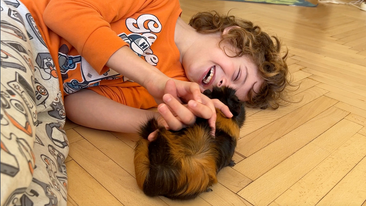    Кадр из фильма «Приключения реального самурая в мире катастроф»