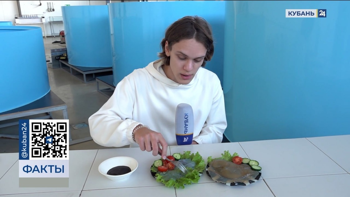    Скриншот видео телеканала «Кубань 24»