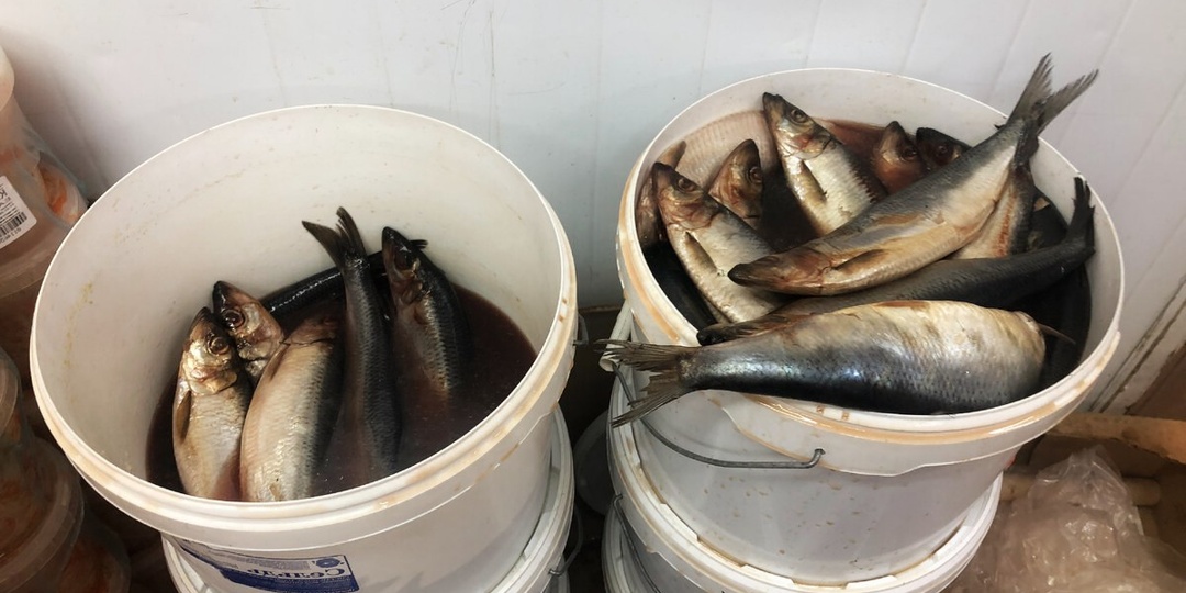 «Берите селедку из ведерка, свеженькая» - уговаривают продавцы. А ты потом не можешь понять, от чего тянет печень и ноет поджелудочная