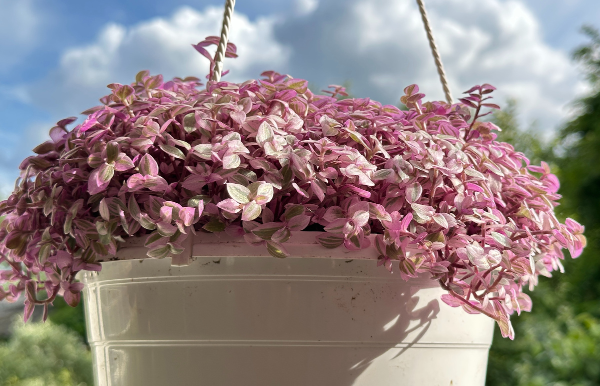 Такой каллизия у меня появилась.