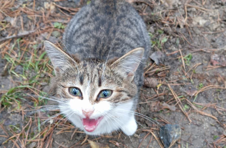     Фото: телеграм-канал «Протяни руку помощи»