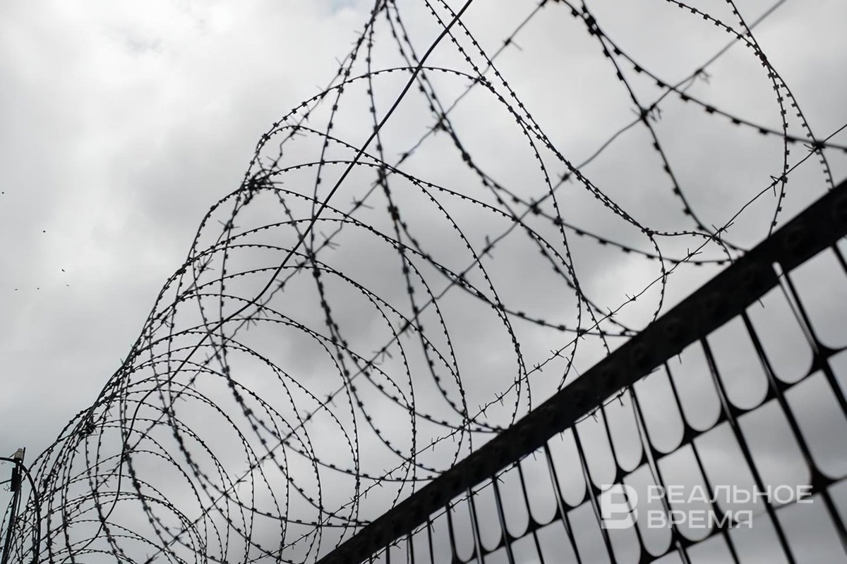   Максим Платонов / realnoevremya.ru