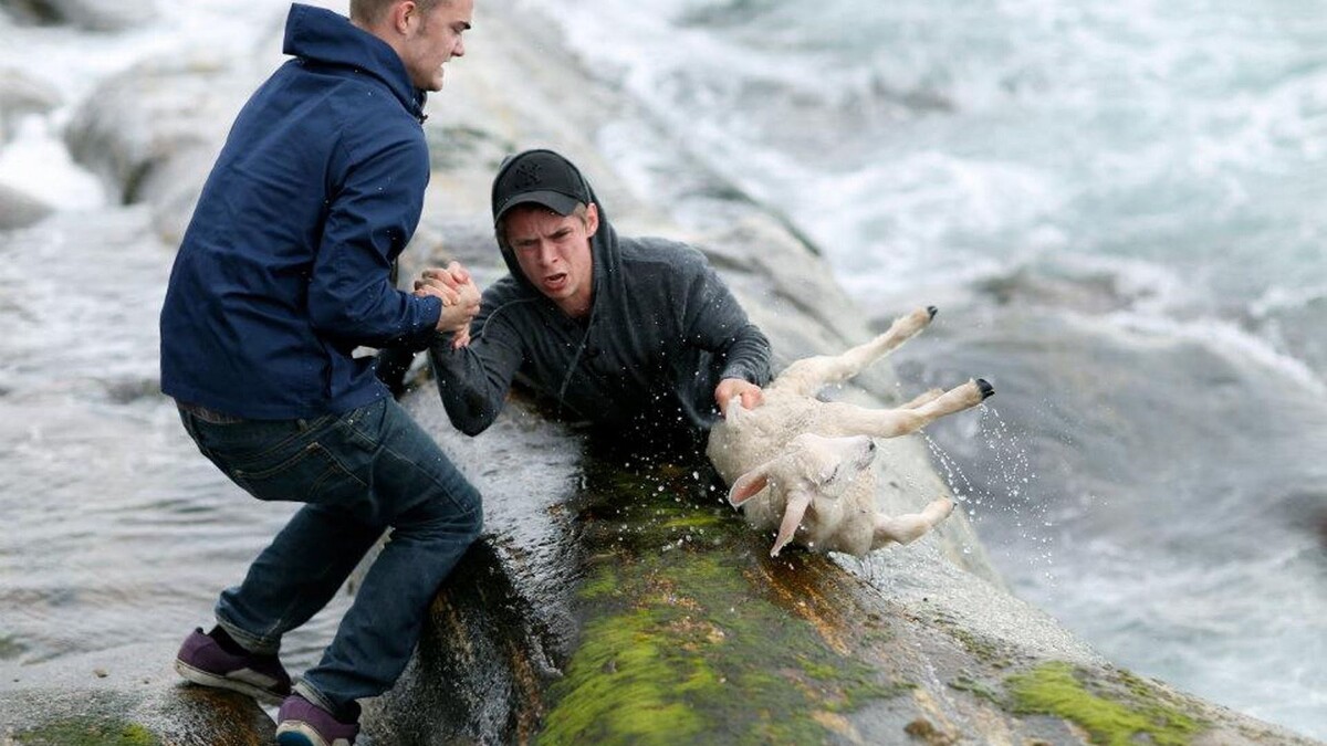 Сложная ситуация.