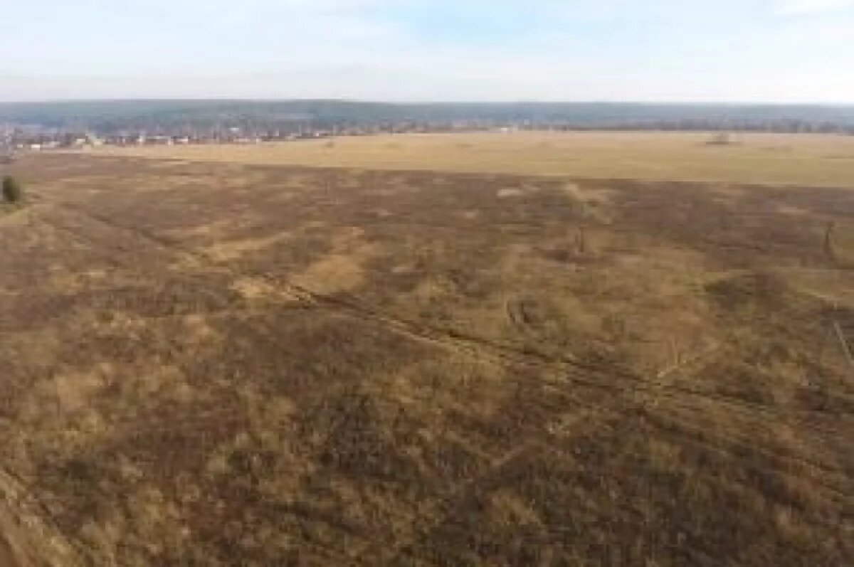    В Тверской области нашли участок, заражённый опасным веществом