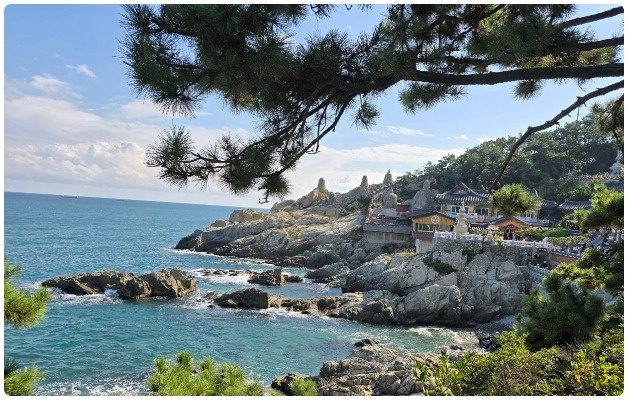 Из ханока — в город огней: день, когда Корея удивляла снова и снова