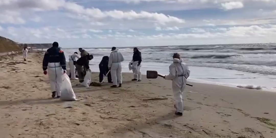 Ликвидация последствий крушения танкеров в Керченском проливе: ключевые итоги и свежие обновления на 31 октября