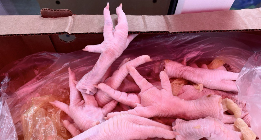    Почему китайцы устроили настоящую "охоту" на куриные лапки: мы ими собак кормим