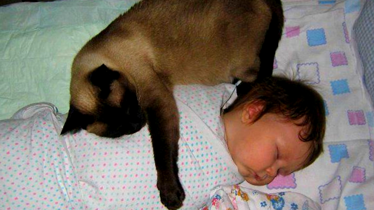 Если ты мама -это навсегда! ЕЩЕ фото -->>