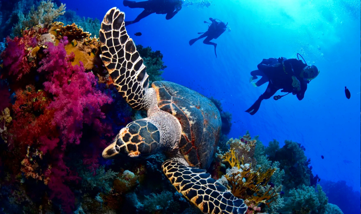 Мечты сбываются у каждого