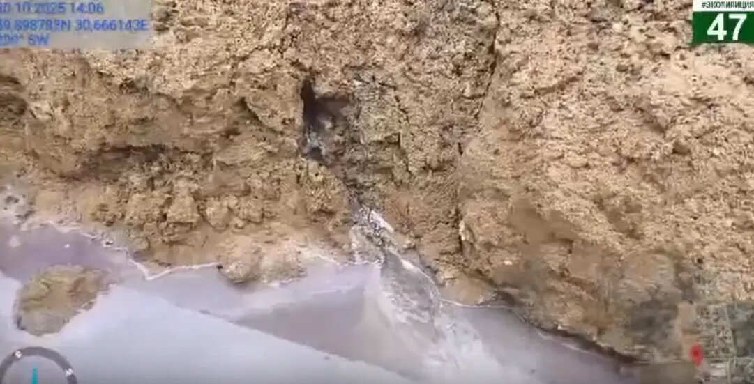    Фото: скриншот видео из telegram-каналы администрации Ленобласти