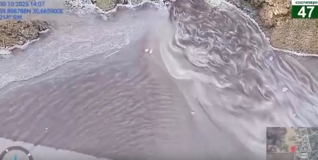    Фото: скриншот видео из telegram-каналы администрации Ленобласти