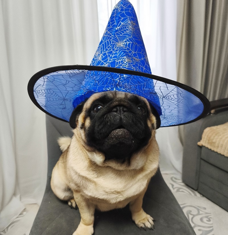 Ефим в образе ведьмы